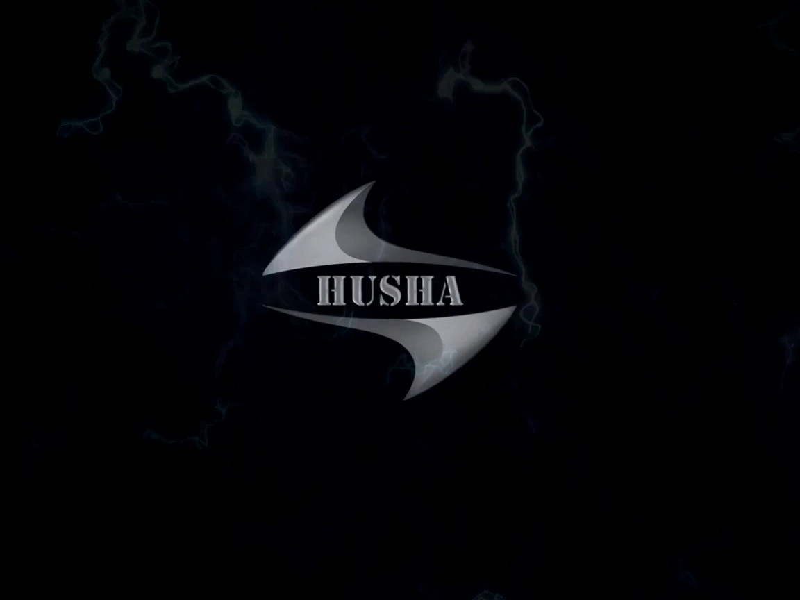 Китай HUSHA GROUP Направление компании